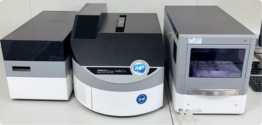 Amino acid analyzer